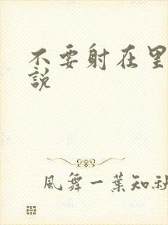 不要射在里面小说