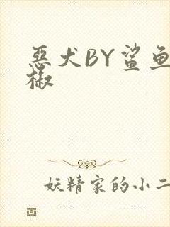 恶犬BY鲨鱼辣椒