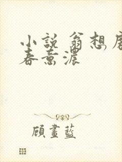 小说 翁想房中春意浓