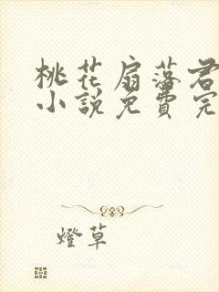 桃花扇落君不还小说免费完整版