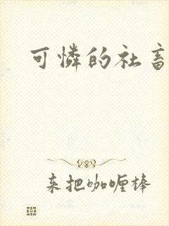 可怜的社畜小说