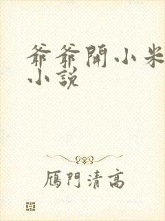 爷爷开小米的包小说封面