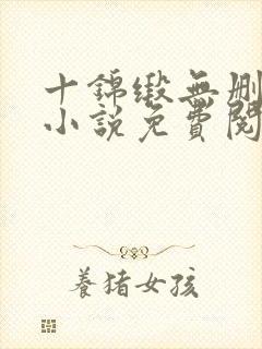 十锦缎无删原著小说免费阅读