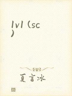 1v1 (sc)封面