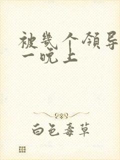 被几个领导玩弄一晚上