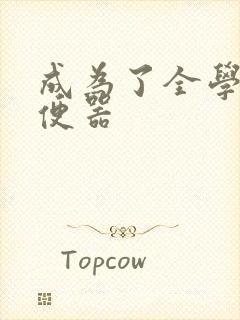 成为了全学校坐便器