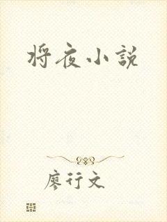 将夜小说封面