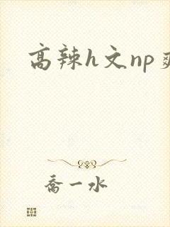 高辣h文np爽