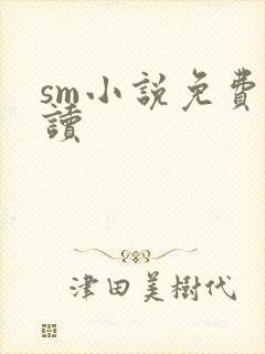 sm小说免费阅读