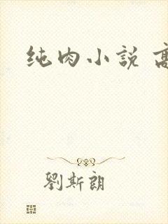 纯肉小说 高h