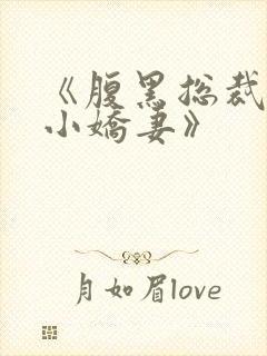 《腹黑总裁独宠小娇妻》