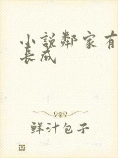 小说邻家有女初长成