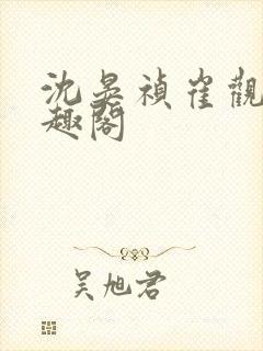 沈晏祯崔观颐笔趣阁