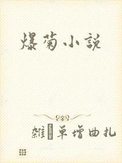爆菊小说