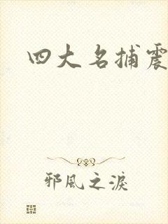 四大名捕震关东