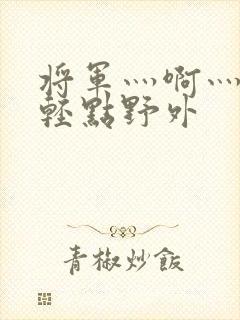 将军灬啊灬啊灬轻点野外