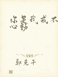 你是我戒不掉的心动