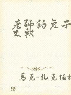 老师的兔子又大又软封面