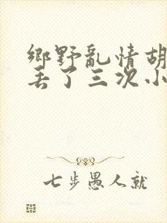 乡野乱情胡秀英丢了三次小说封面