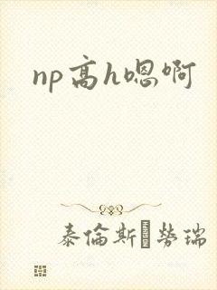 np高h嗯啊