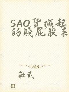 SAO货撅起你的贱屁股来