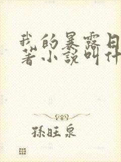 我的暴露日记原著小说叫什么