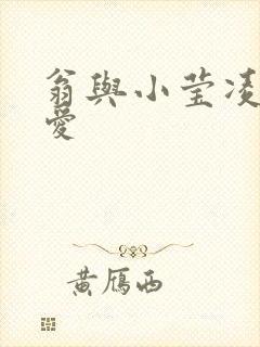 翁与小莹凌晨欢爱