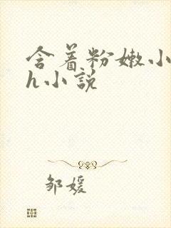 含着粉嫩小奶头h小说