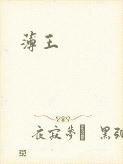 薄王封面