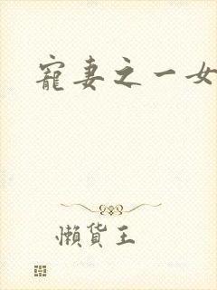 宠妻之一女二夫