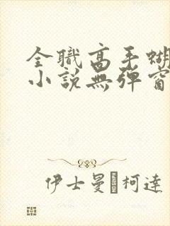 全职高手蝴蝶蓝小说无弹窗免费阅读