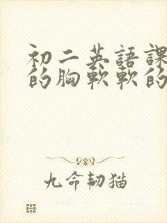 初二英语课代表的胸软软的