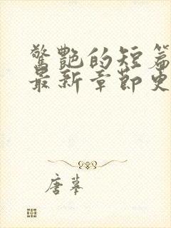 惊艳的短篇合集最新章节更新艳情小说