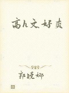 高h文好爽封面