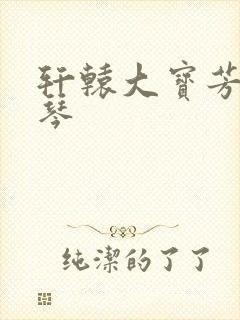轩辕大宝芳菲雅琴封面