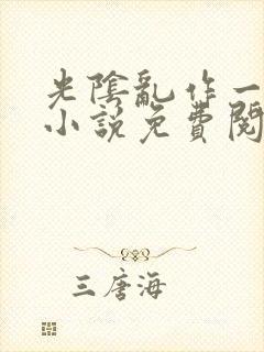 光阴乱作一团的小说免费阅读