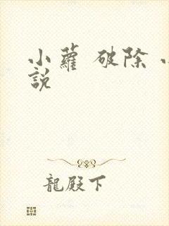 小萝 破除 小说封面
