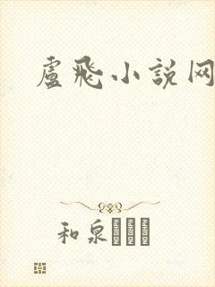 卢飞小说网