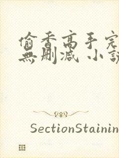 偷香高手完整版无删减 小说