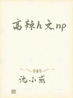 高辣h文np