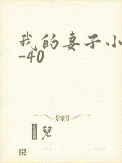 我的妻子小谨1-40
