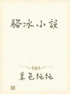 骆冰小说