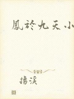 凤于九天小说