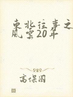 东北往事之黑道风云20年封面