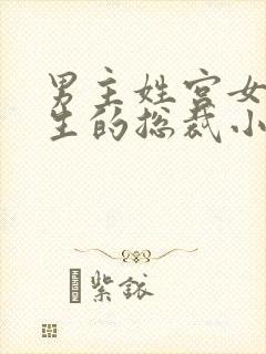 男主姓宫女主重生的总裁小说