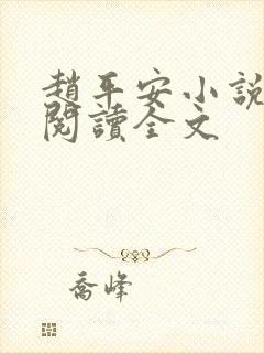 赵平安小说免费阅读全文封面