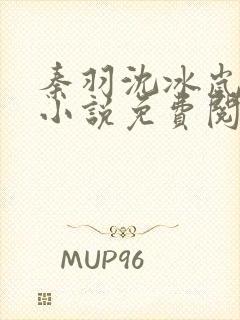 秦羽沈冰岚穿越小说免费阅读封面