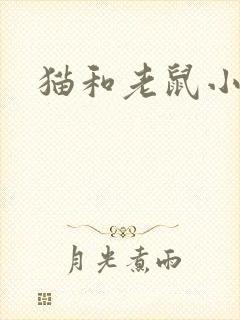 猫和老鼠小说