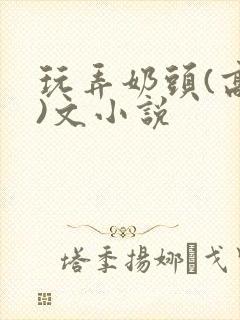 玩弄奶头(高h)文小说