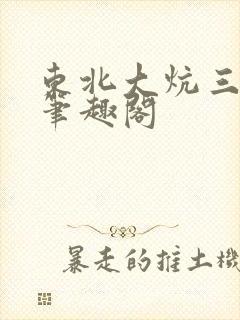 东北大炕三部曲笔趣阁